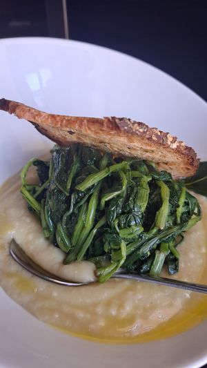 Favetta e cicorie at Radici in Foggia