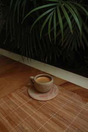  at Aguacate Veggie Bar in Oaxaca