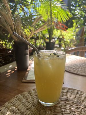   at Aguacate Veggie Bar in Oaxaca