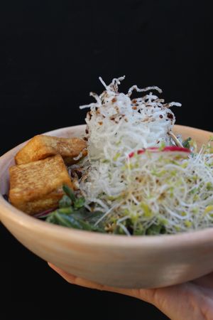 RICE NOODLE BOWL at Aguacate Veggie Bar in Oaxaca