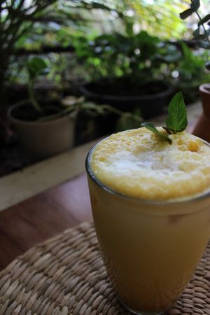 GOLDEN MILK at Aguacate Veggie Bar in Oaxaca