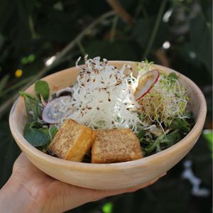 RICE NOODLE BOWL  at Aguacate Veggie Bar in Oaxaca