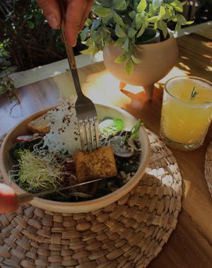 PROTEÍNA VEGANA DE TOFÚ at Aguacate Veggie Bar in Oaxaca