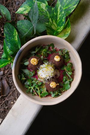 Entrada de albondigas veganas y hummus de betabel at Aguacate Veggie Bar in Oaxaca