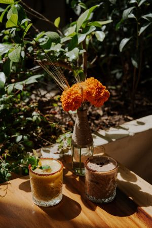 Mezcalina de Café y Mezcalina Tropical at Aguacate Veggie Bar in Oaxaca