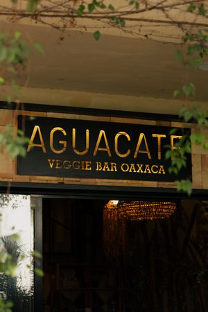 entrada at Aguacate Veggie Bar in Oaxaca