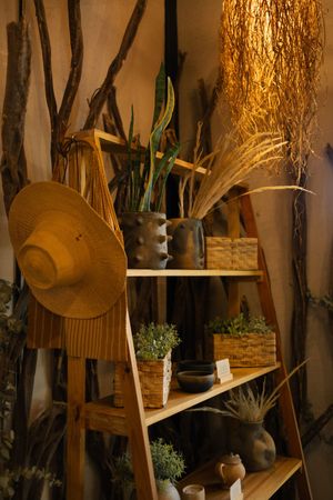 tienda at Aguacate Veggie Bar in Oaxaca