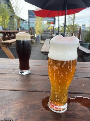 Aussie champers (front) and red amber ale (back)  at Drop Bear Brewery in Eugene