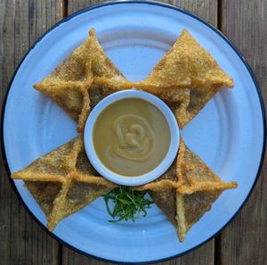 Crispy Mushroom Dumplings at 28 Tigers in Portland