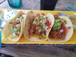 Vegan tacos at A Vocados Tuset in Barcelona