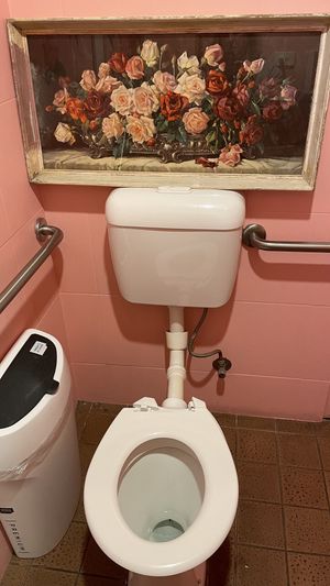 Ladies toilet   at Mama B's in Chippendale