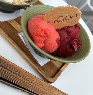 the sorbets are all vegan and they had like 8 different versions! (Idk if the Waffels are vegan tho)  at Gaston in Brussels