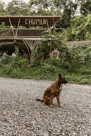  at Chumuk in Bucerias