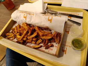 Falafel laffa sandwich with fries at Hummus Bar in Szeged