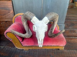  at Arcadia Coffee House in Newport