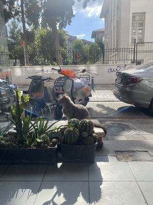   at Vintage Coffee in Istanbul