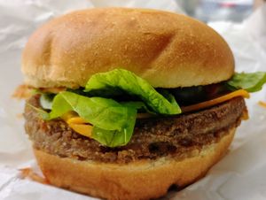 Spicy burger at Lord of the Fries - Swanston St in Melbourne