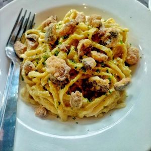  at Vedge Bohol in Panglao