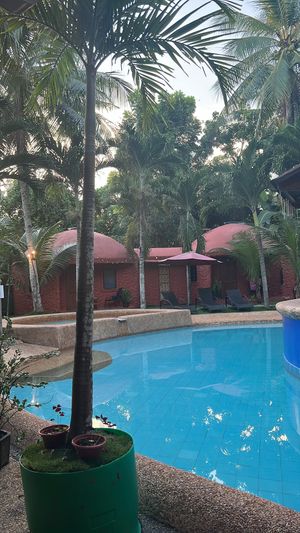   at Vedge Bohol in Panglao