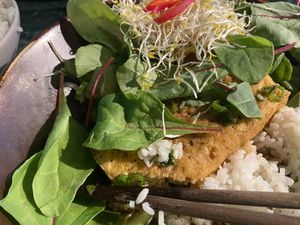   at Vibami in Helsinki