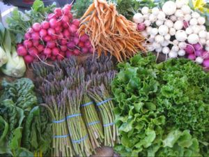 fresh and organic! at Ecologie Organics in Mount Gambier