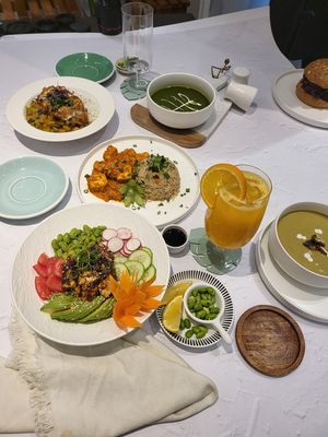  at Plantoholic in Dubai