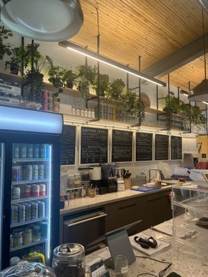   at TULA Cafe in Kingston