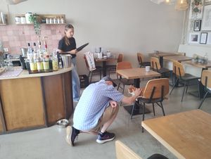 Twee cafekatten at The Coffee Spot  in Haarlem