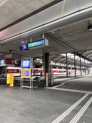  #Veganuary at Veganitas in Luzern