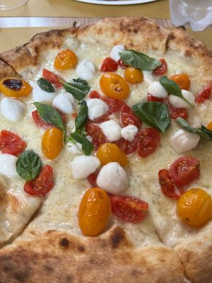 Pizza Reginella, with mozzarella cheese, two types of Pachino, "bocconcini"of burrata cheese and basil at Bottega di Rosaria in Siena