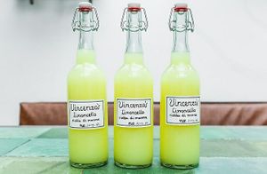 Their own limoncello at Vincenzo's - Centrum in The Hague