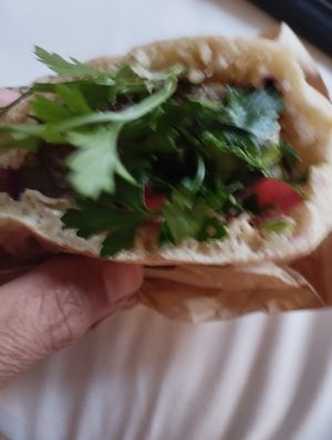 Pita at Cult of Pita in Porto