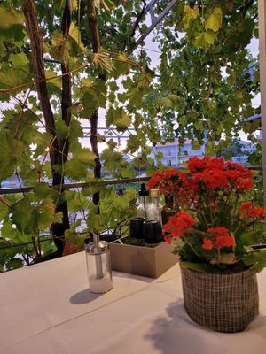  at Terrabite in Simuni