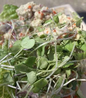 Seafood sandwich was bomb. Delicious. I had a blueberry cardamom pastry too but my husband ate it all before I got a photo. 💙🫐🫐🫐  at Cacau Bakery in Santa Rosa