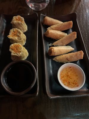Veggie spring rolls and dumplings   at Silk Elephant in Ankeny