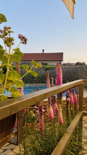 Corner of the garden   at VALA in Fazana