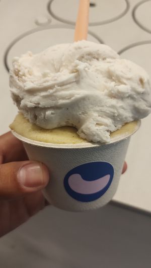 Vainilla Madagascar y Melocotón Albahaca at CAJÚ Gelato in Barcelona