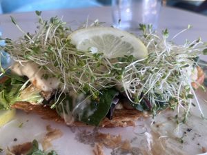 Lemon pepper tofu avocado  toast  at Unicorniverse Bakery & Cafe in Round Rock