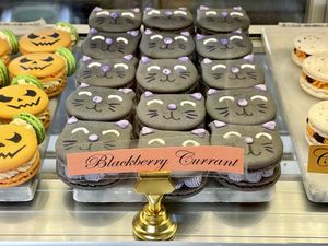 Macarons   at Unicorniverse Bakery & Cafe in Round Rock