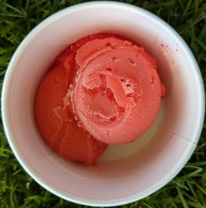 Tiger's Blood at Oh My Gelati in Oregon City
