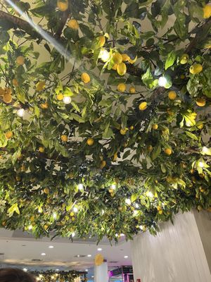 Ceiling  at Eccellenze della Costiera in Naples