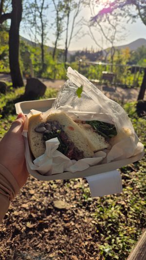 Mushroom focaccia sandwich at Letter of Light - Bichui Anbu - 빛의 안부  in Jeonju