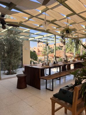 Beautiful decor   at Nicole's Greenhouse in Hurghada