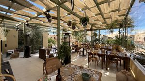 Outside seating area #Veganuary at Nicole's Greenhouse in Hurghada