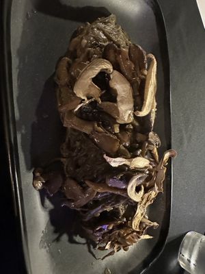 Vegan wild mushroom soba   at Bloom Botanical Bistro in Queens