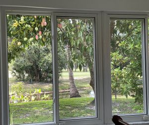  at Brigitte's Tropical Vegan Oasis in Royal Palm Beach