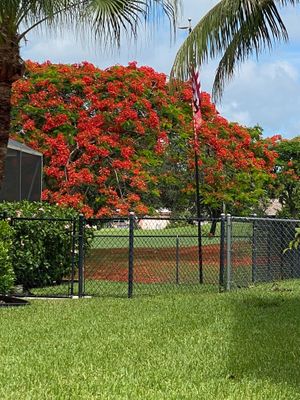  at Brigitte's Tropical Vegan Oasis in Royal Palm Beach