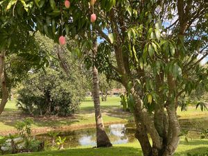  at Brigitte's Tropical Vegan Oasis in Royal Palm Beach