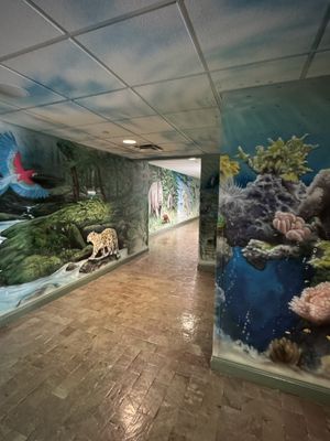 Extinct species hall   at Skinny Pancake in Burlington