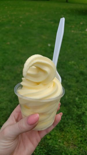 Pineapple Dole Whip at Park N Chill in Springfield